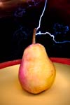 LightningPear3241